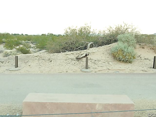 Outdoor sex with teen skater girl Catarina Petrov