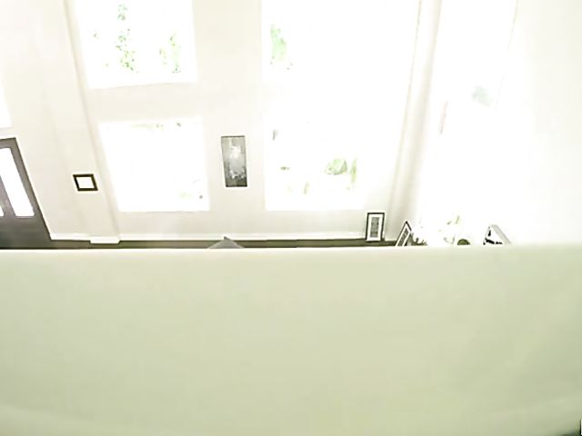 Lana Rhoades POV throat job and fuck