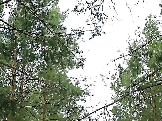 Flawless Alise Moreno gets naked in the woods