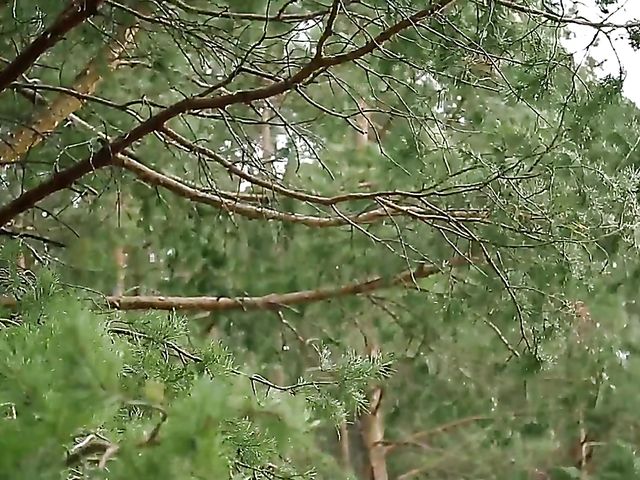 Flawless Alise Moreno gets naked in the woods