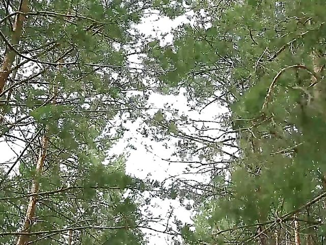 Flawless Alise Moreno gets naked in the woods