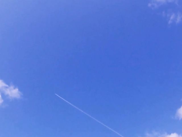 Tied up Japanese girl gives head