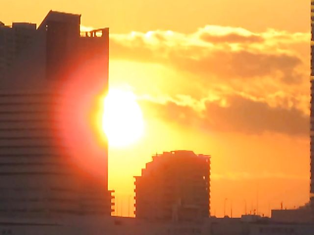 Tied up Japanese girl gives head
