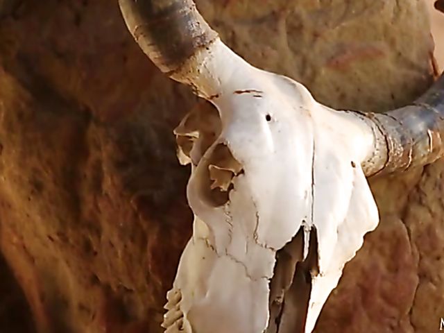 Adorable blonde babe Blake Bartelli strips naked