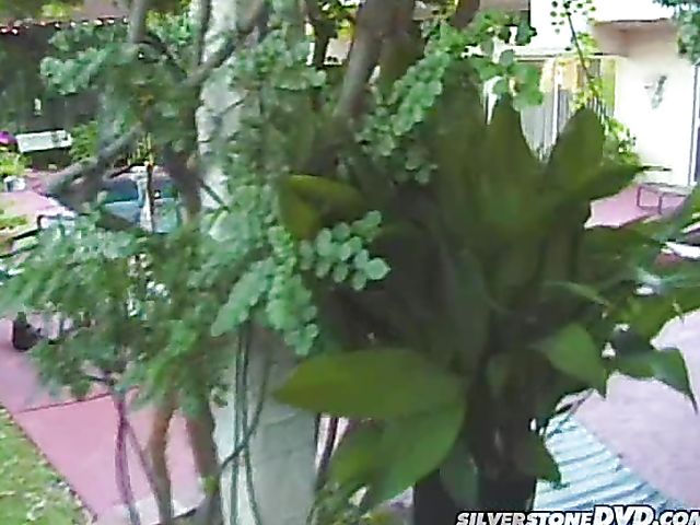 Hot babe gets a fuck in the garden