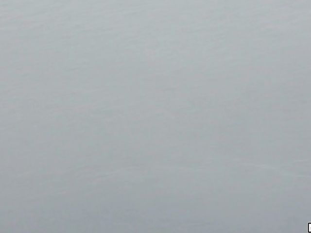 Public sex for money with hot Florida girl Brooke Haze