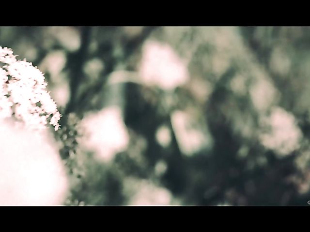 A Sex Art move with lovely Francys Belle