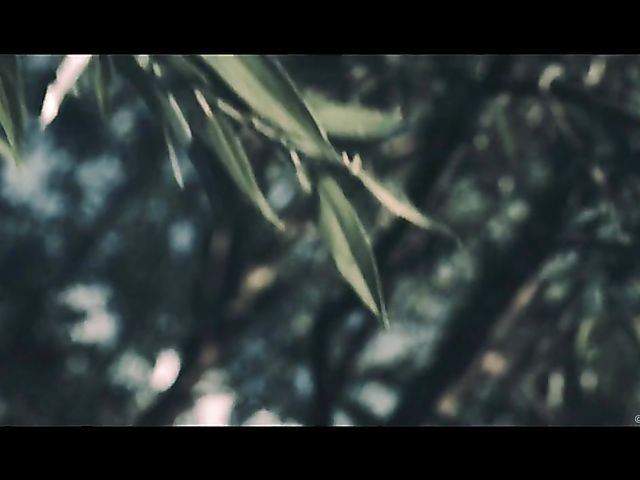 A Sex Art move with lovely Francys Belle