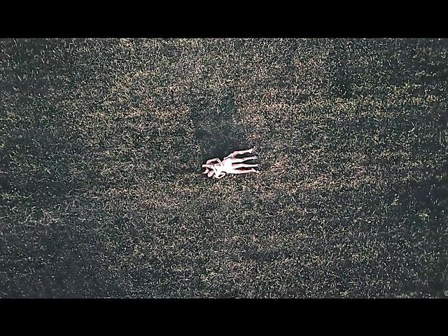 A Sex Art move with lovely Francys Belle