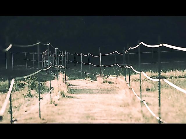 A Sex Art move with lovely Francys Belle