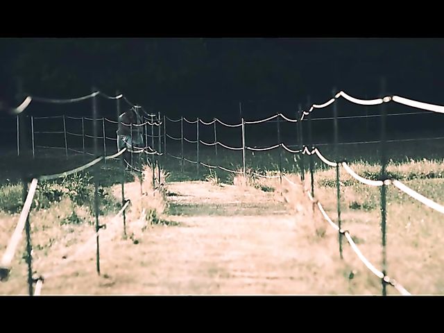 A Sex Art move with lovely Francys Belle