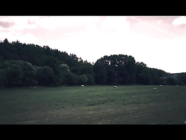 A Sex Art move with lovely Francys Belle