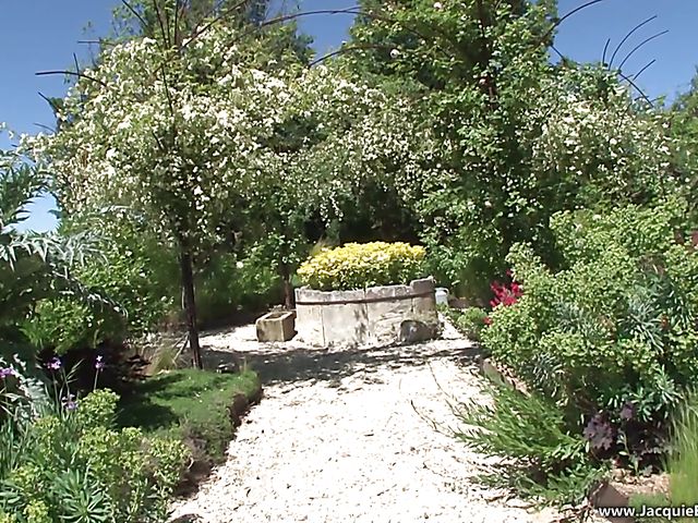 Oiled redhead anal fucked on video