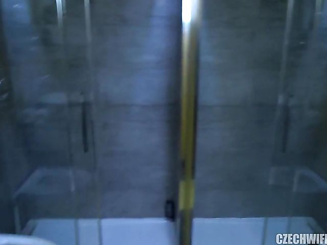 Wife swapping couples have fun