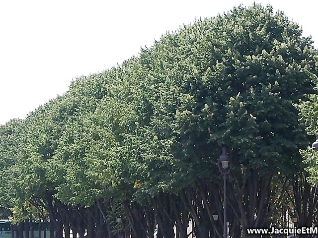 Charming teen anal adventure in Paris