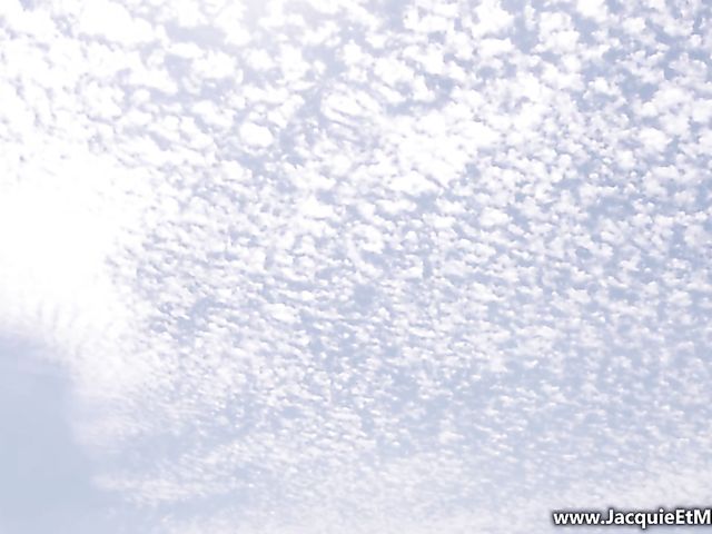 Charming teen anal adventure in Paris