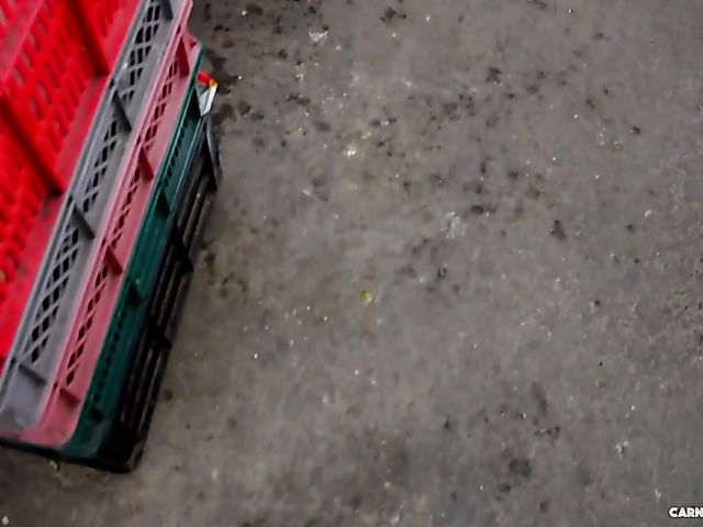 Bespectacled latina next door gets impaled on cock