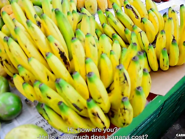 Bespectacled latina next door gets impaled on cock