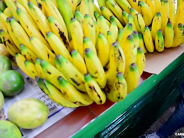 Bespectacled latina next door gets impaled on cock