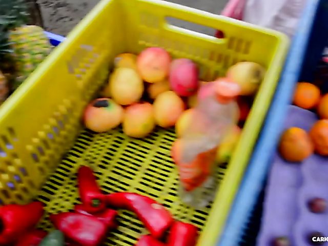 Bespectacled latina next door gets impaled on cock