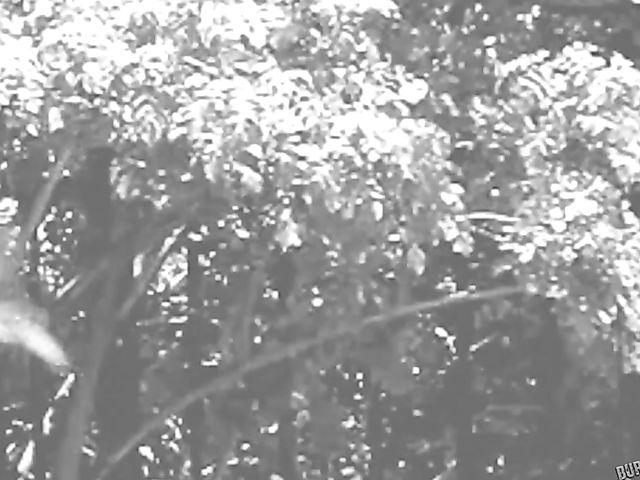 Slutty Zoey Monroe anal drilled by a tattooed guy