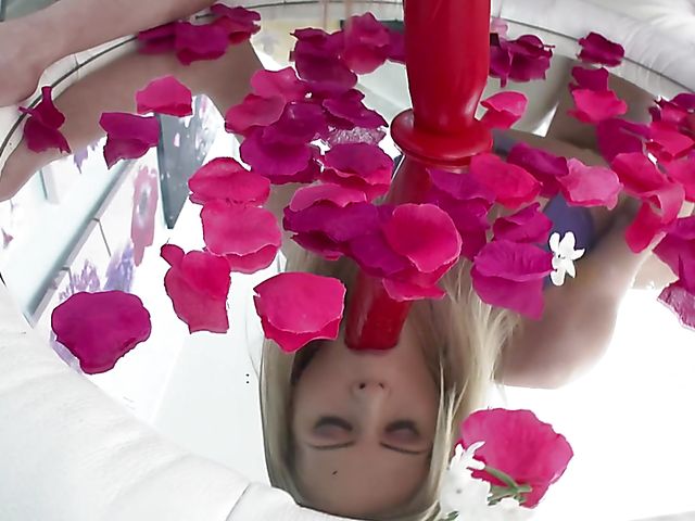 Only anal with Claudia Mac taking 3 cocks at once