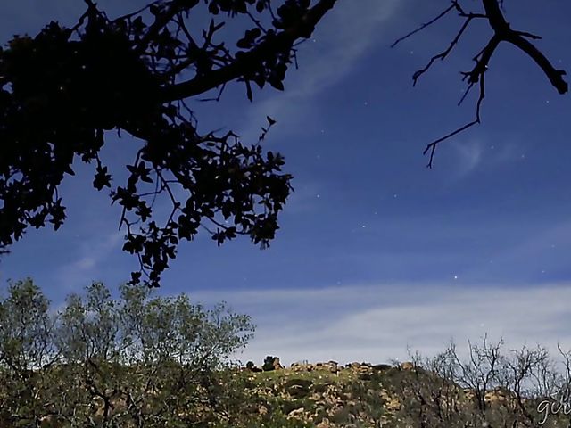 Lesbian stepsisters get eaten out by AJ Applegate