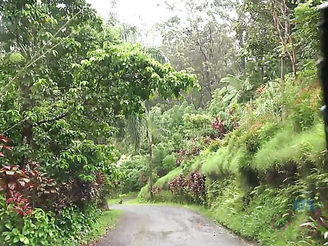 Car sex with his petite girlfriend Elsa Jean