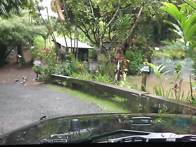 Car sex with his petite girlfriend Elsa Jean