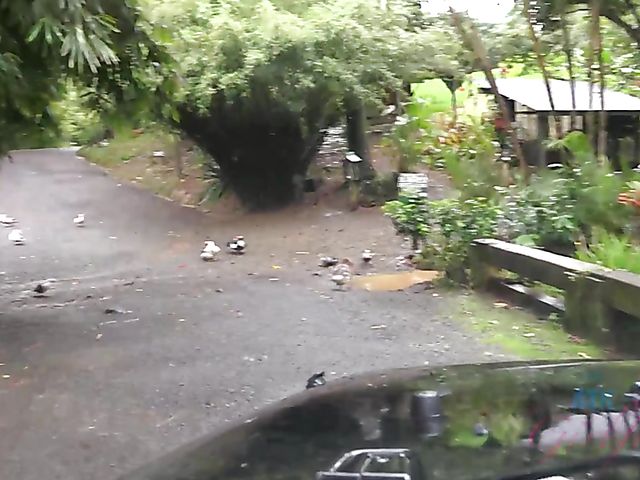 Car sex with his petite girlfriend Elsa Jean