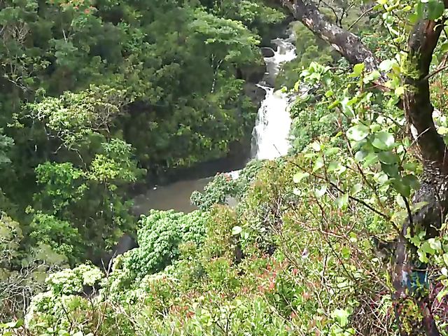 Car sex with his petite girlfriend Elsa Jean