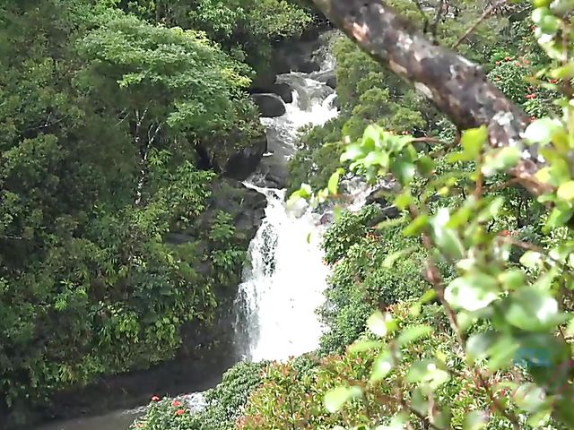 Car sex with his petite girlfriend Elsa Jean