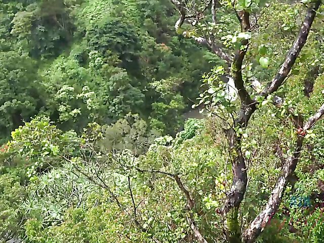 Car sex with his petite girlfriend Elsa Jean