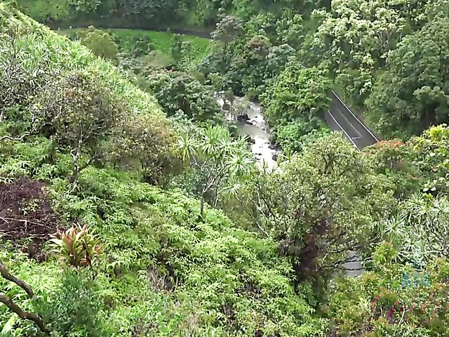 Car sex with his petite girlfriend Elsa Jean