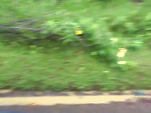 Car sex with his petite girlfriend Elsa Jean