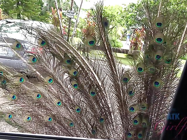 Car sex with his petite girlfriend Elsa Jean