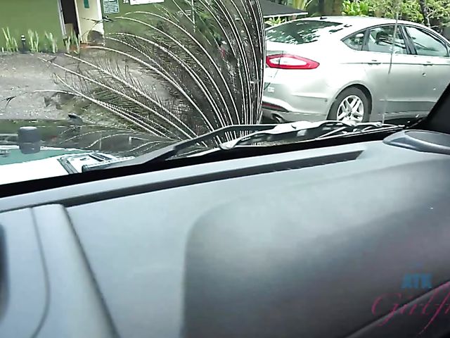 Car sex with his petite girlfriend Elsa Jean