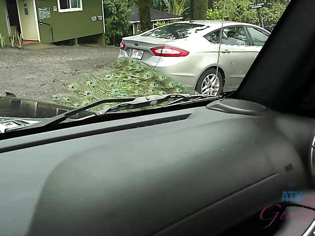 Car sex with his petite girlfriend Elsa Jean