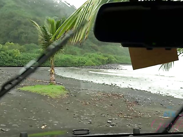 Car sex with his petite girlfriend Elsa Jean