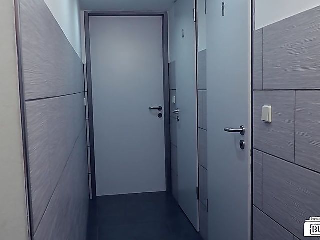 German office slut Lilli Vanilli gets plowed