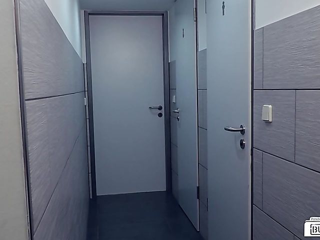 German office slut Lilli Vanilli gets plowed