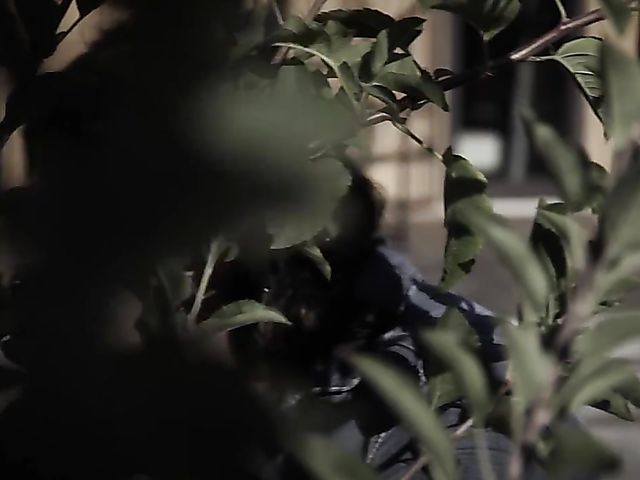 A strong cock for teen brunette Cadey Mercury